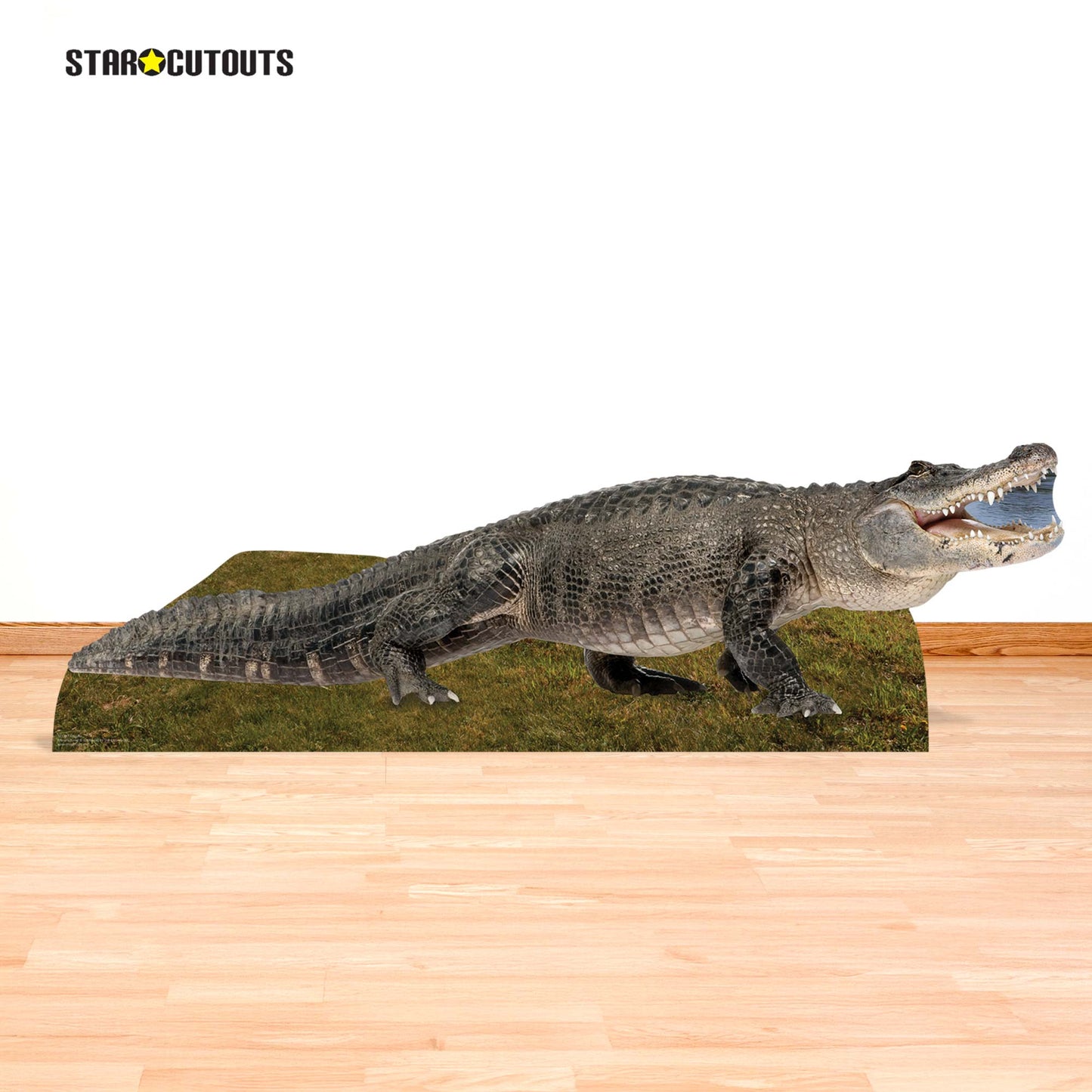SC1457 Fresh Water Alligator Cardboard Cut Out Height 58cm