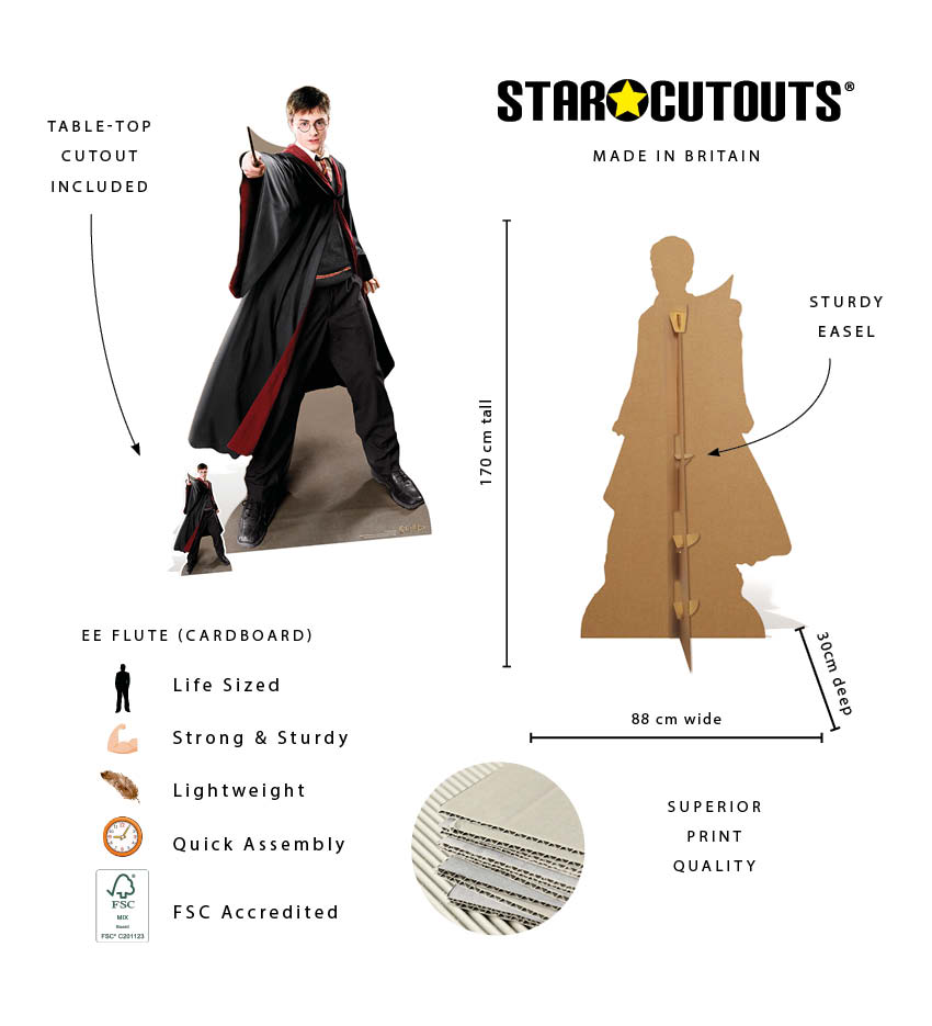 SC1478 Harry Potter Quidditch Captain Cardboard Cutout Height 170cm