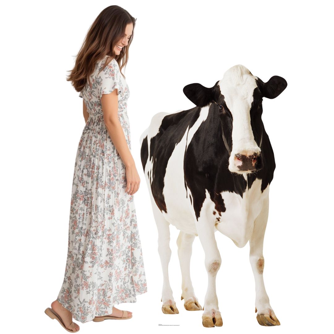 SC163 Cow Cardboard Cutout Height 165cm British Countryside