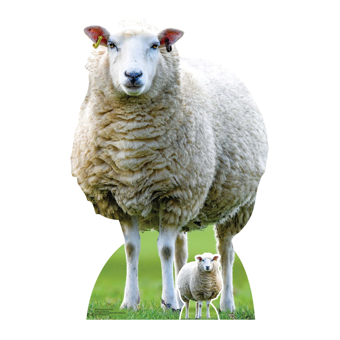 SC4437 Sheep Farm Animal Cardboard Cutout Height 94cm