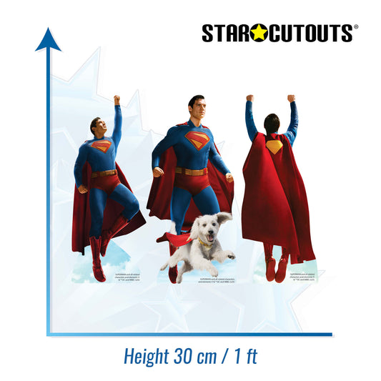 SC4636 Superman Look Up Movie Shelf Top Pack Cardboard Cutouts Height 30cm