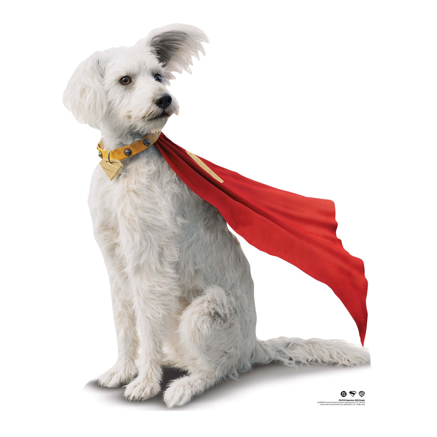 SC4732 Superman 2025 Movie Krypto  Cardboard Cut Out Height 94cm