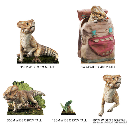 SC4860 Aquilops Dinosaur Jurassic World Rebirth  Multi Pack Bundle Cardboard Cut Out Height 48cm