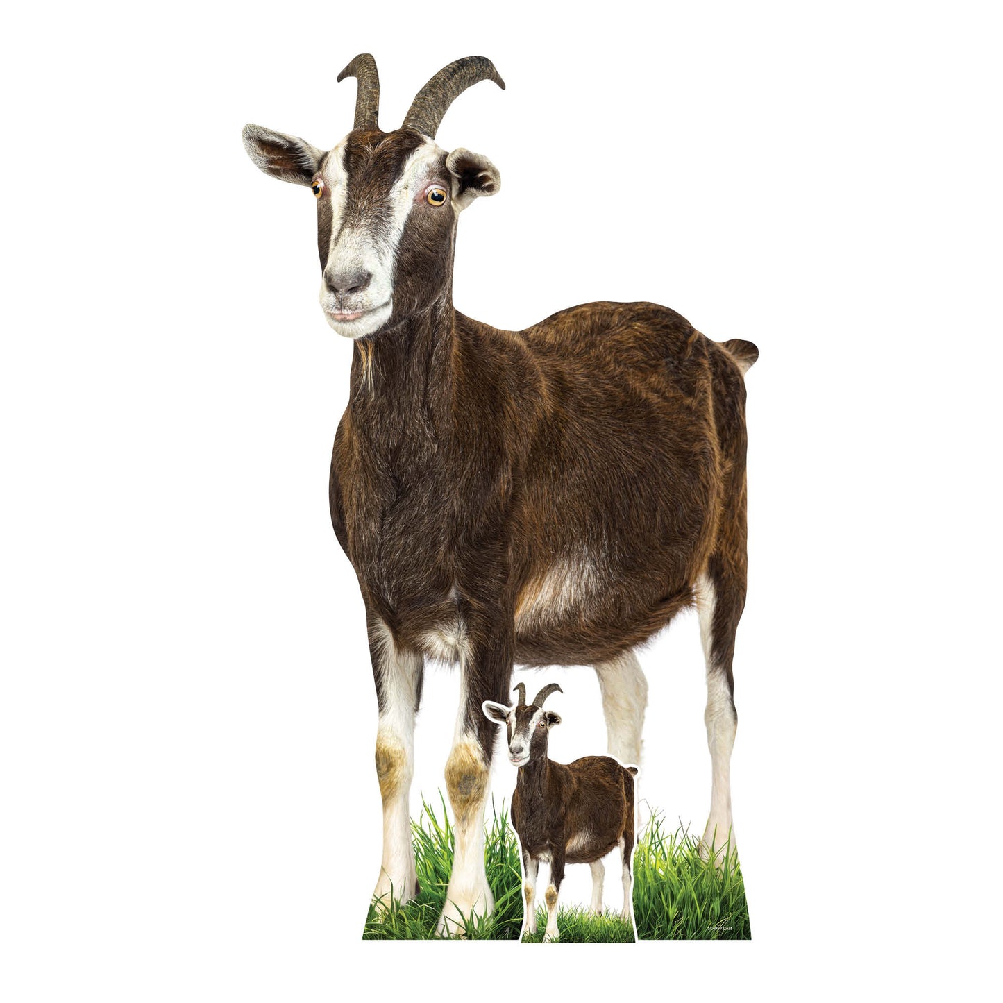 SC4957 Goat Farm Animal Cardboard Cutout Height 133cm Includes Desktop
