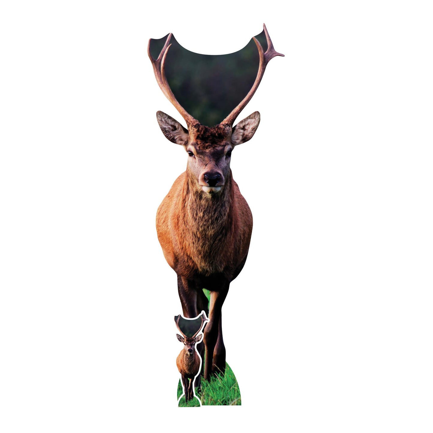 SC4958 Deer British Countryside Cardboard Cutout Height 196cm Includes Desktop