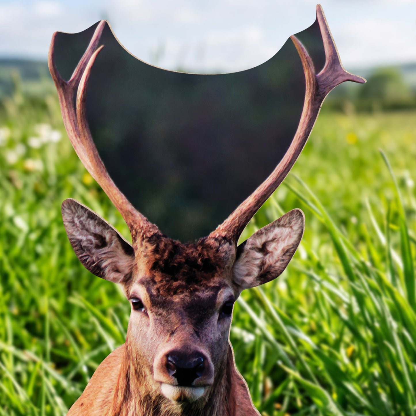 SC4958 Deer British Countryside Cardboard Cutout Height 196cm Includes Desktop