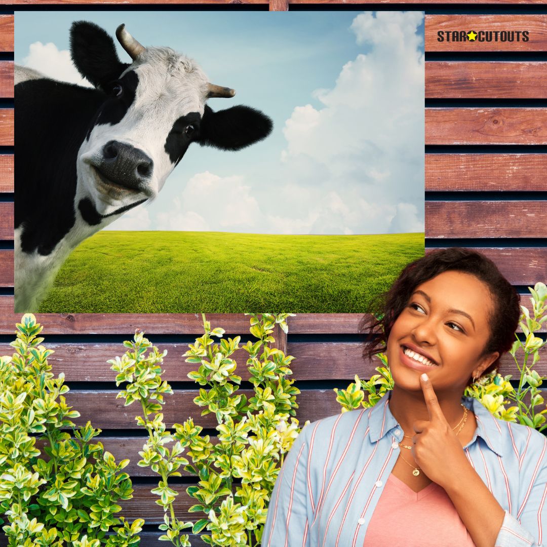 SCCORREX001 - A1 Large Printed Rigid Rectangle Board on Correx -  Poster, Sign Height 59.4cm