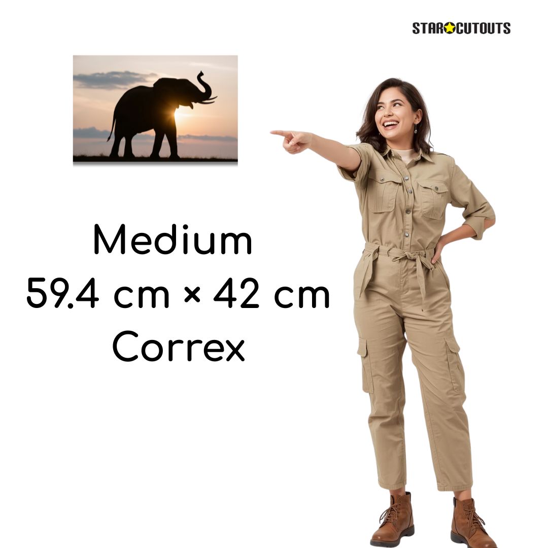 SCCORREX002 - A2 Medium Printed Rigid Rectangle Board on Correx -  Poster, Sign Height 59.4cm