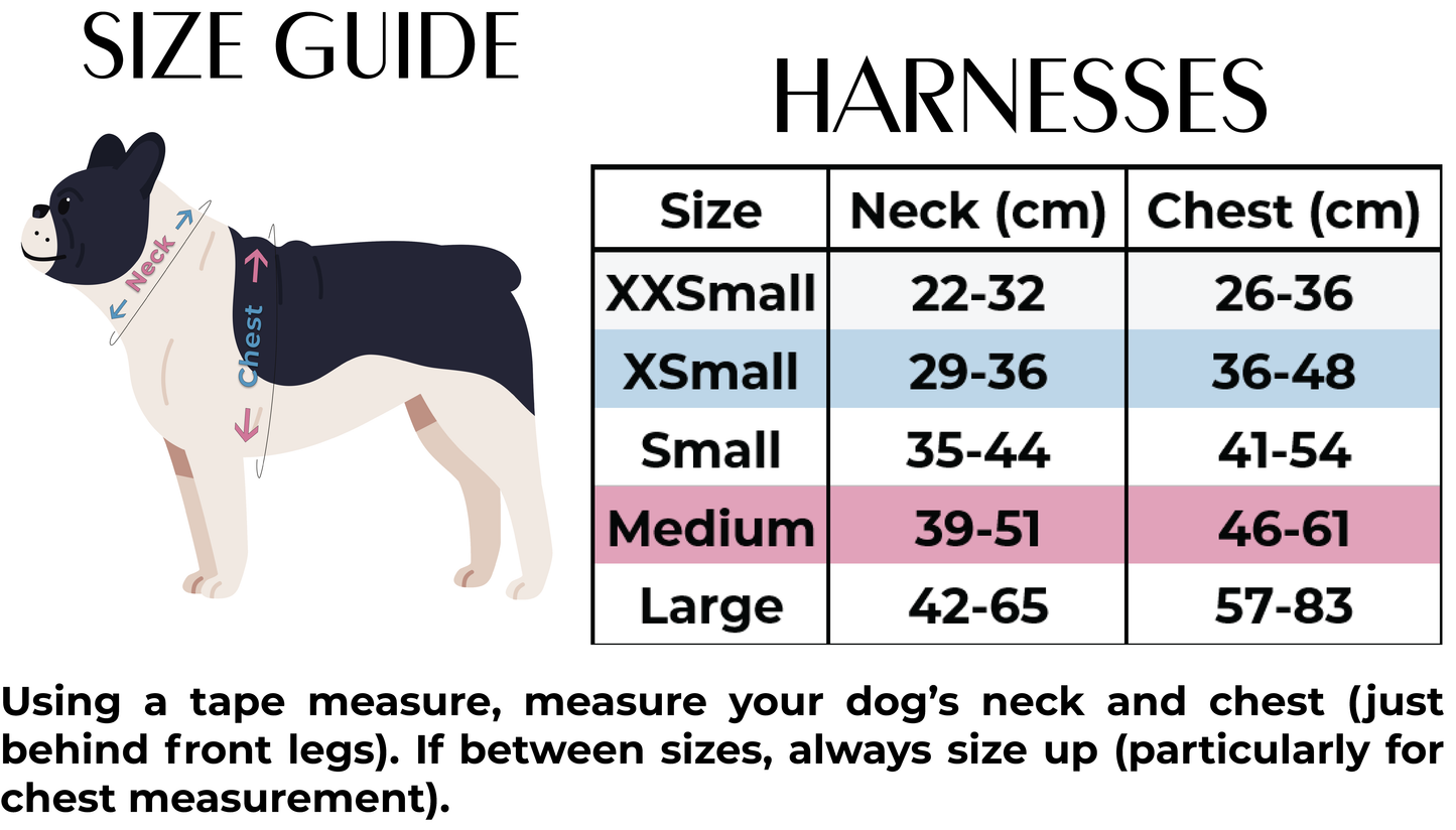 Country Pupkin - Autumnal Doodle Dog Collar