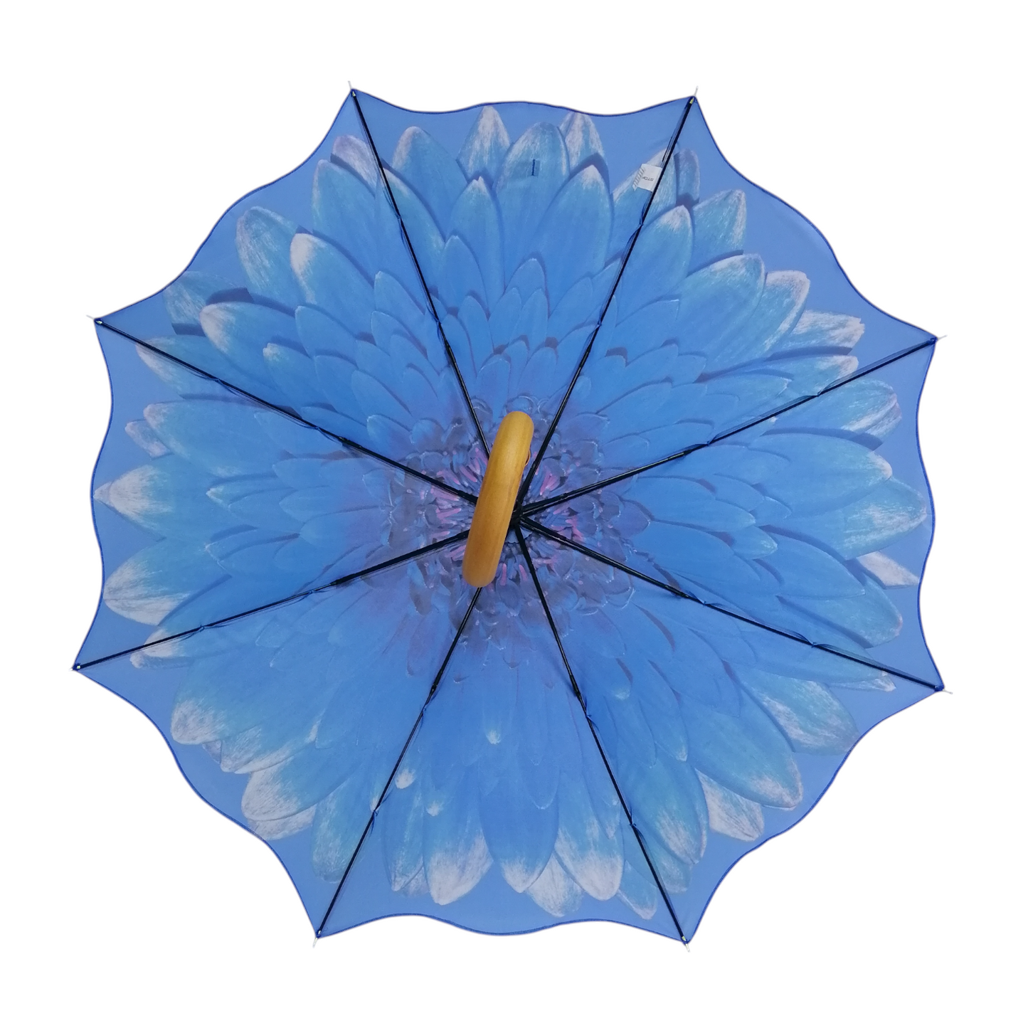 StormKing Floral Blue Daisy Classic Stick
