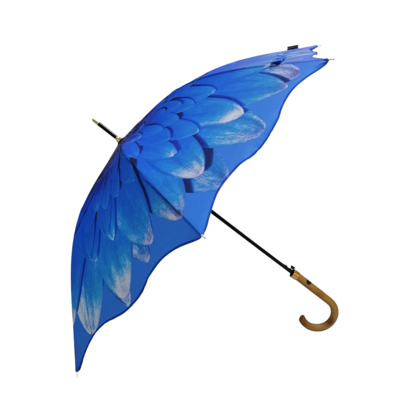 StormKing Floral Blue Daisy Classic Stick