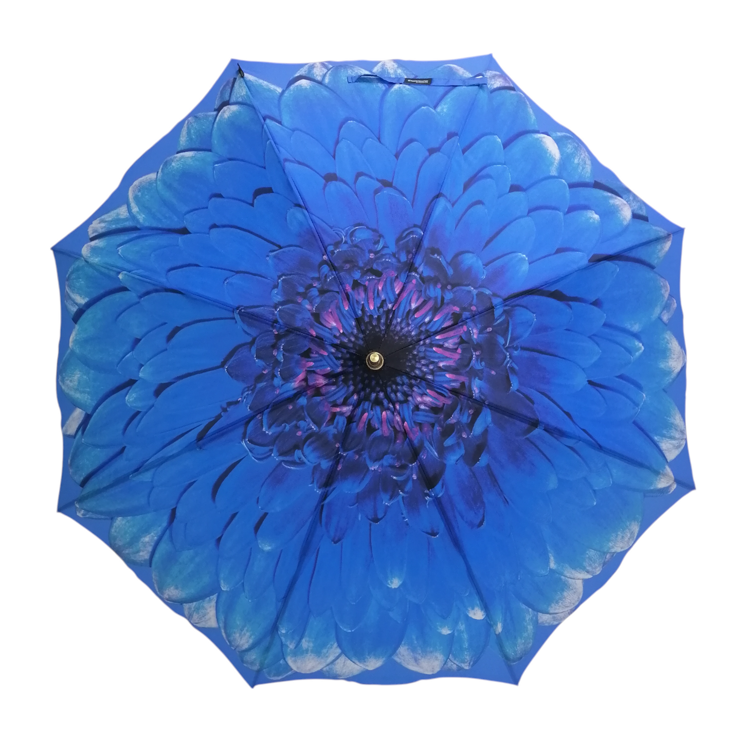 StormKing Floral Blue Daisy Classic Stick
