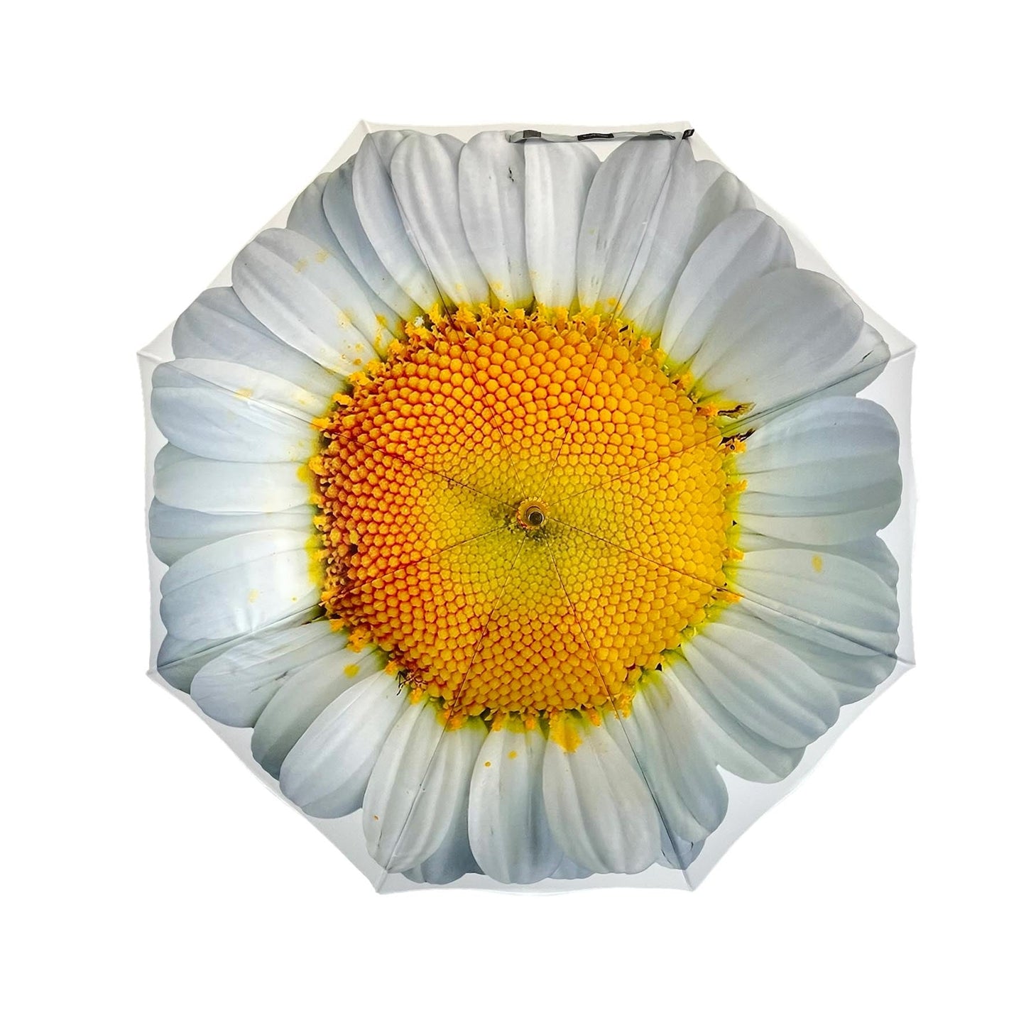 StormKing Floral White Daisy Classic Stick Umbrella