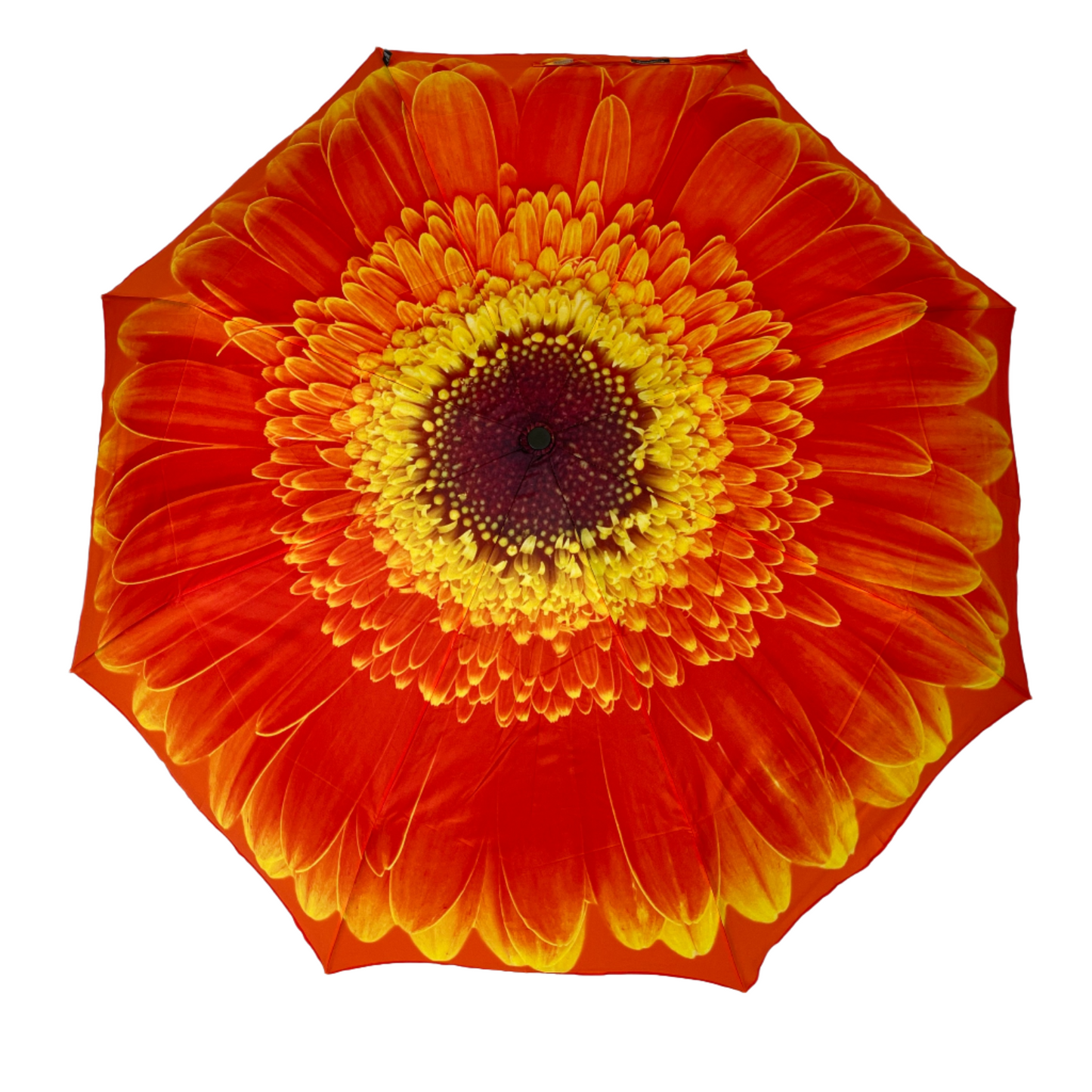 StormKing Folding Floral Umbrella Orange Daisy