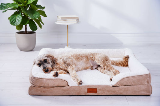 The Belgravia Orthopaedic Dog Sofa™ - Large