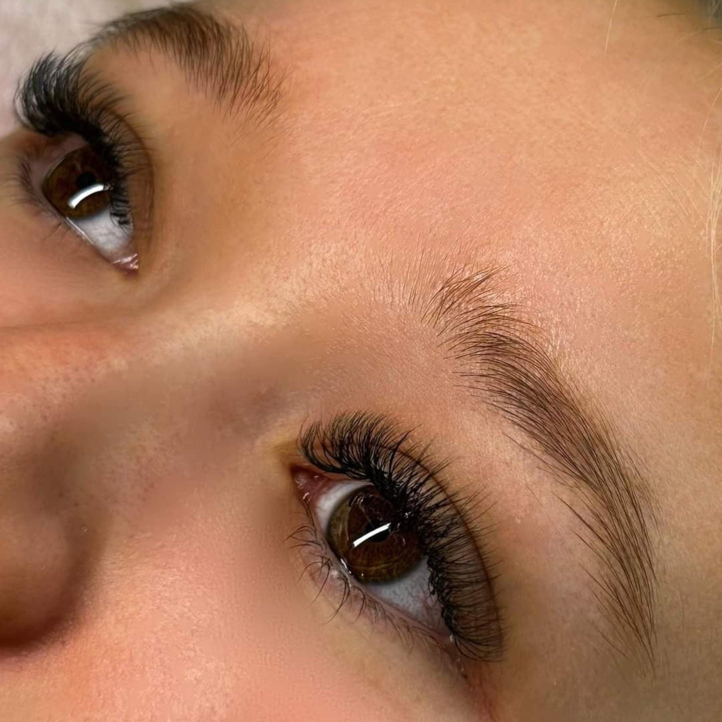 6D Clover Lash Sample Tray – 5 Rows