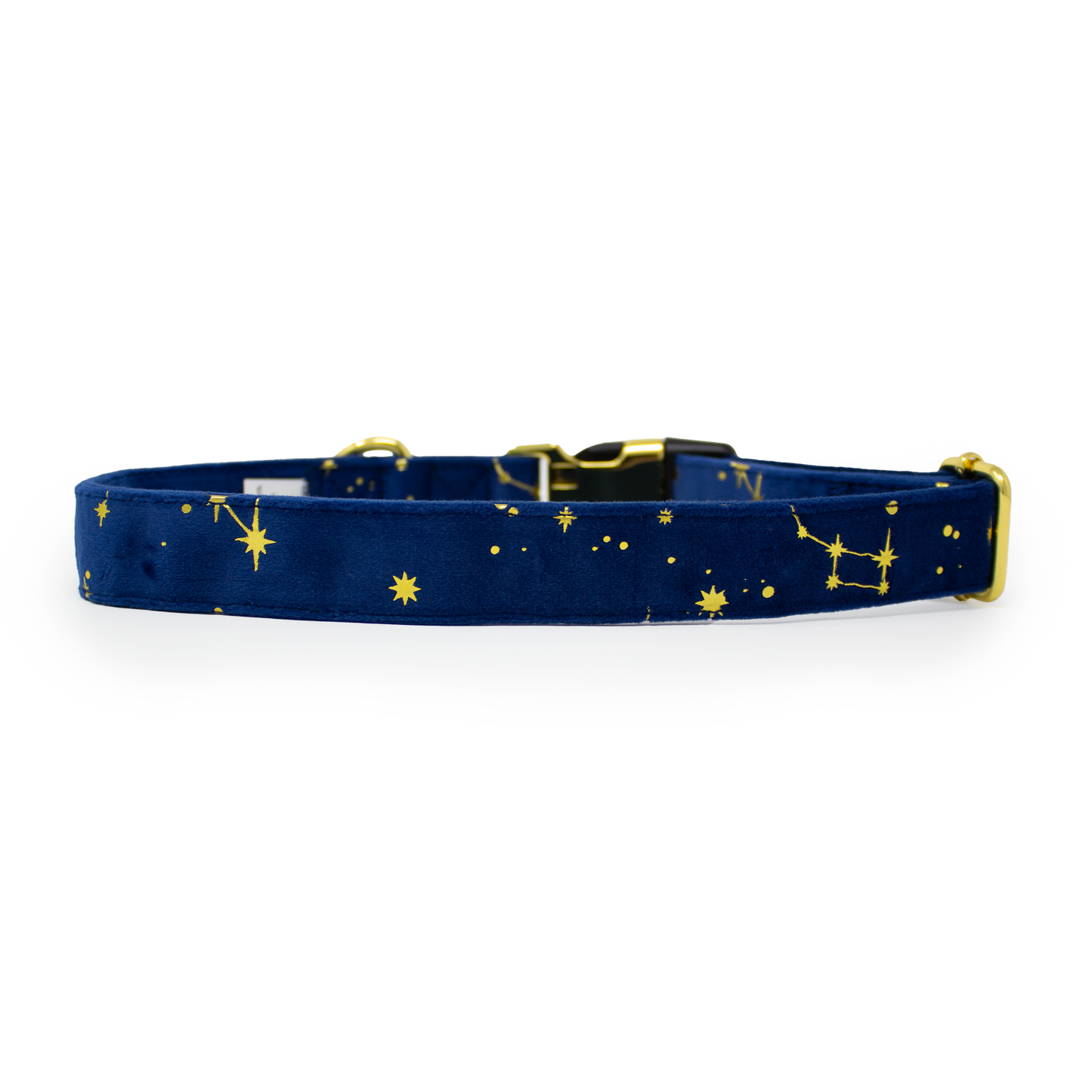 Sapphire Stars Velvet Harness