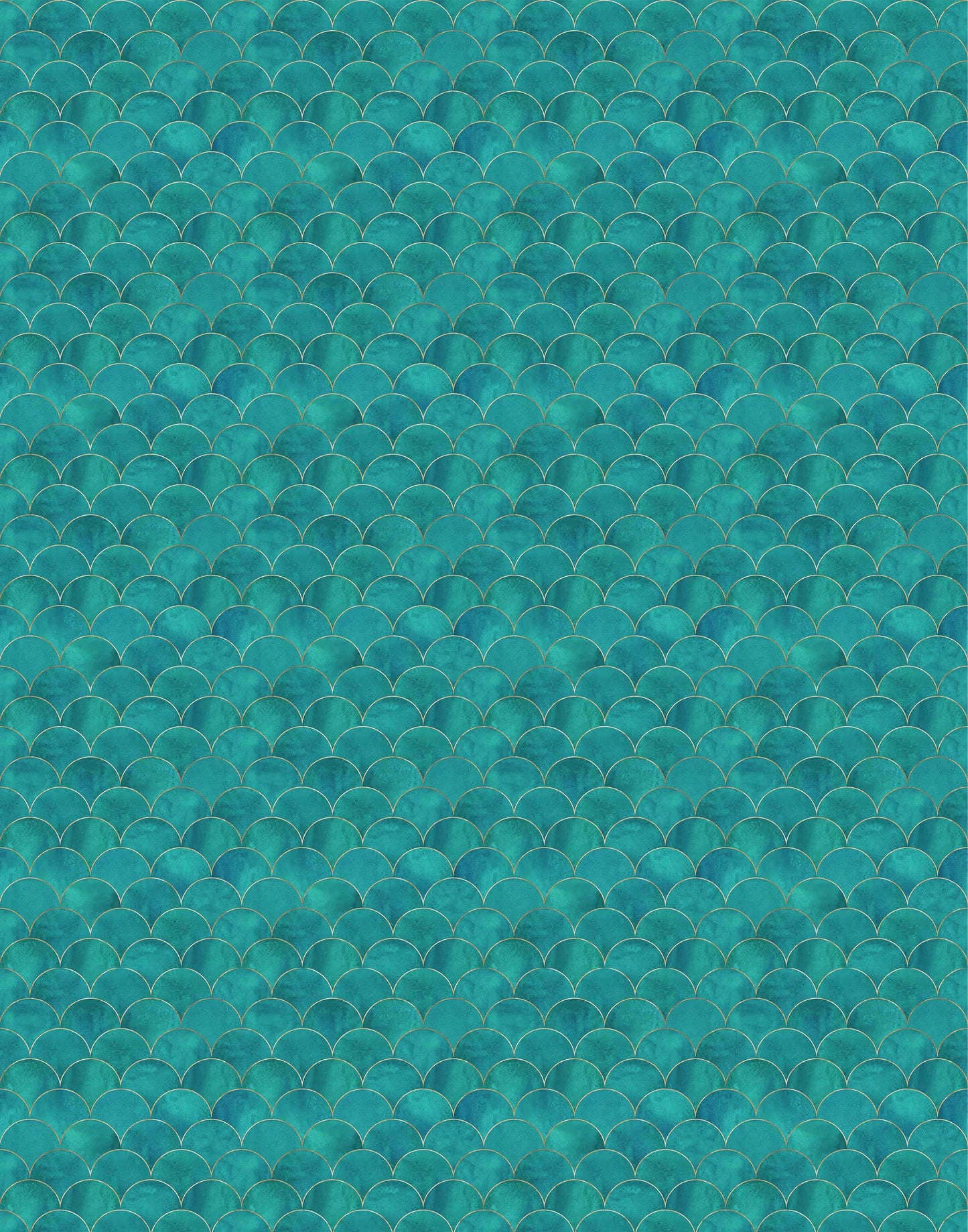 Scallop