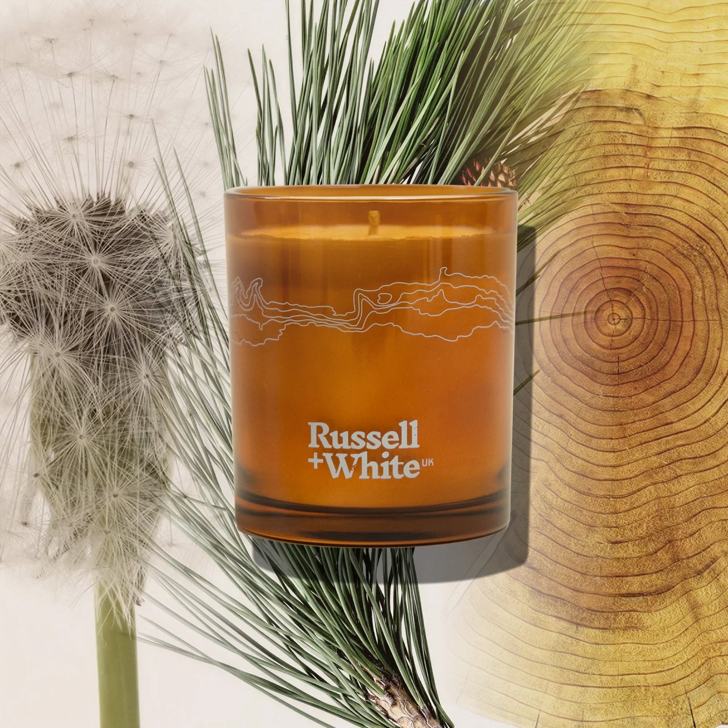 Sequoia Scented Candle