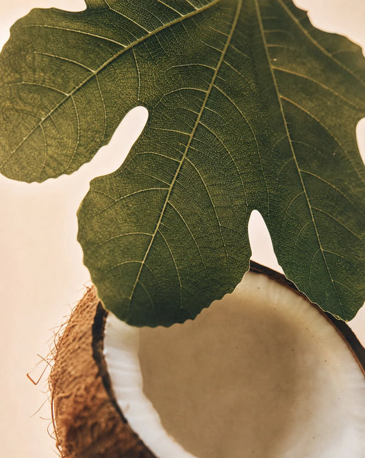Opulence Scented Candle Refill