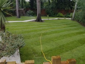 Premier Lawn Turf *Bulk Buy Saver* FREE Pallet Delivery (select pallet amount)