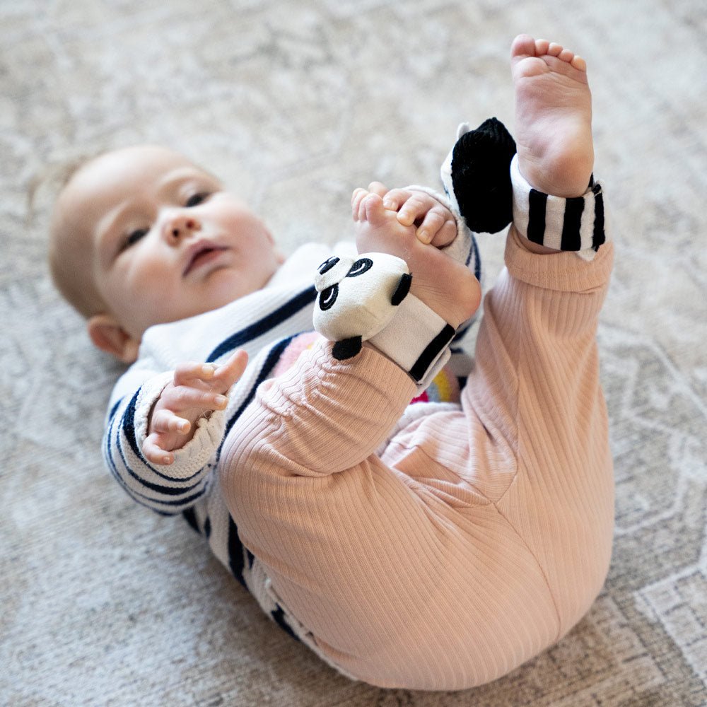 Sensory Ankle & Wrist Rattles
