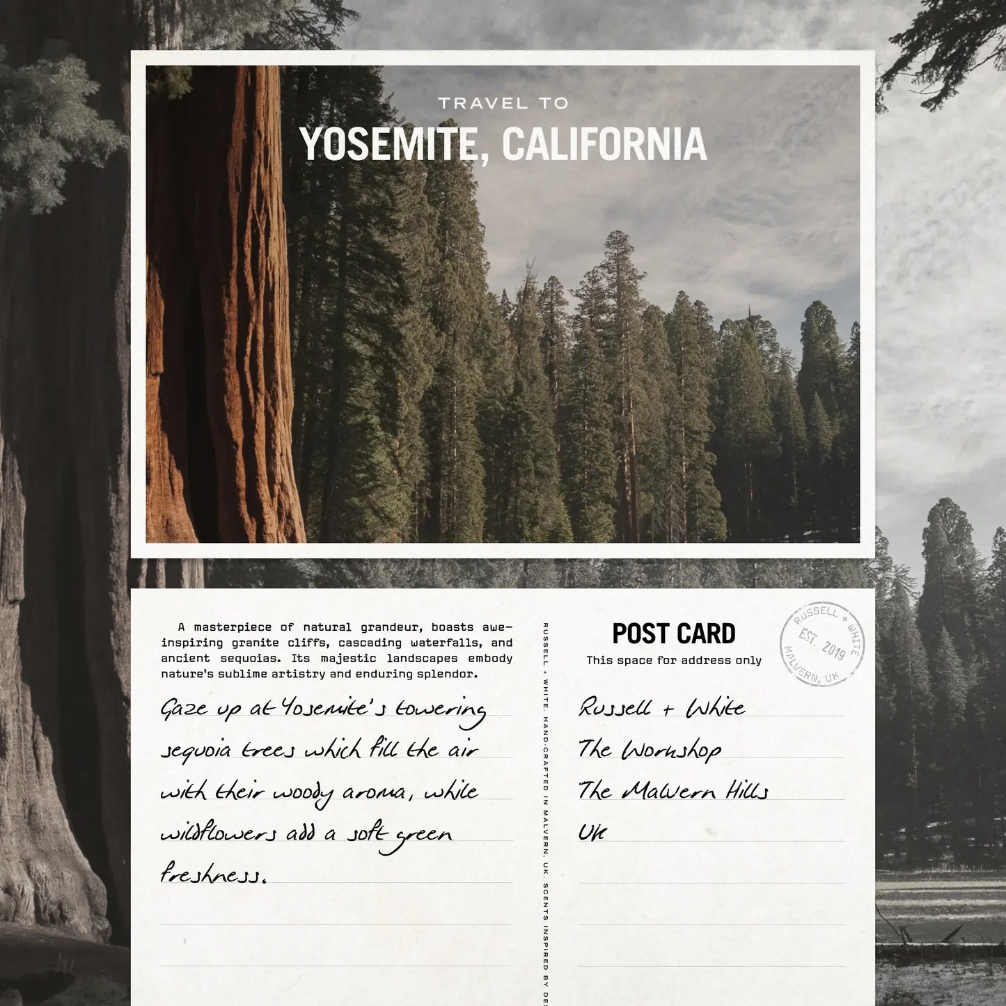 Sequoia Scented Candle