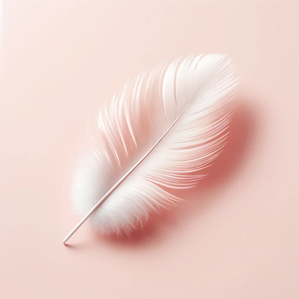 Serene Feather Canvas