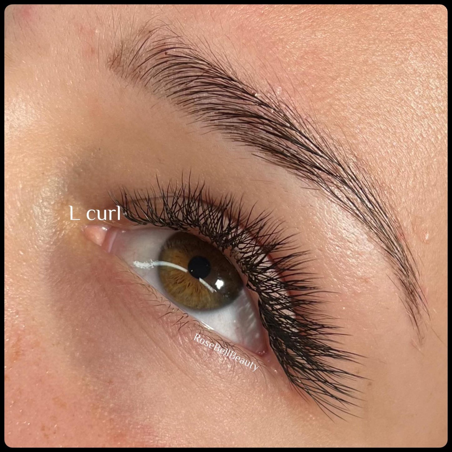 L Curl Lash Sample Tray 0.07 5 Rows