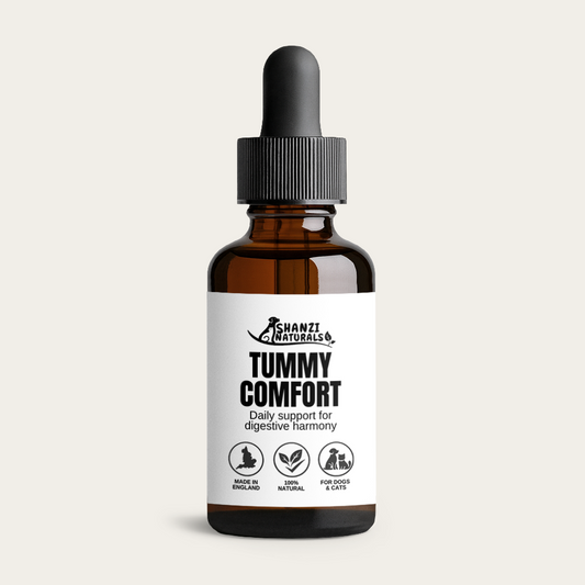 Shanzi Naturals Tummy Comfort – Herbal Digestive Drops for Dogs & Cats