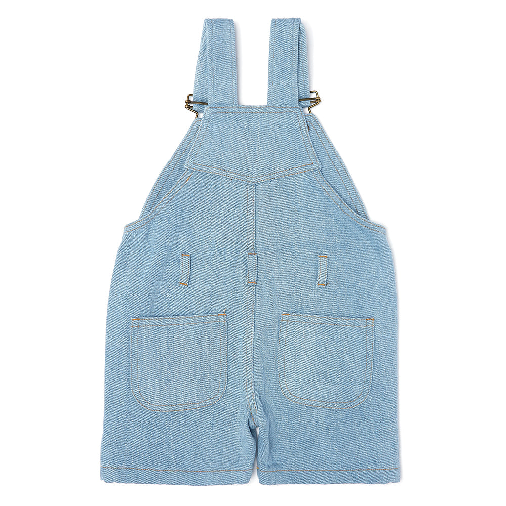 Pale Denim Shorts