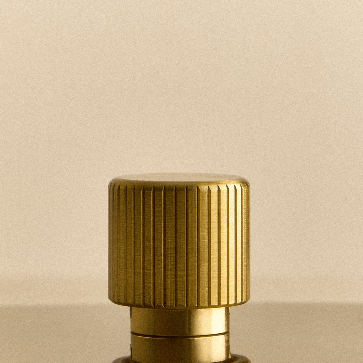 Single Rotary Wall Dimmer in Brass