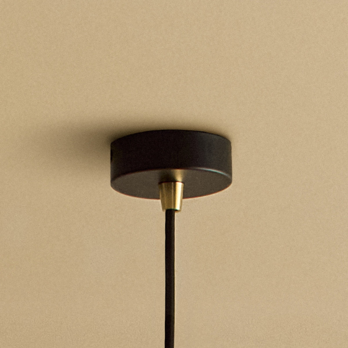 Gaia Pendant Light in Brass