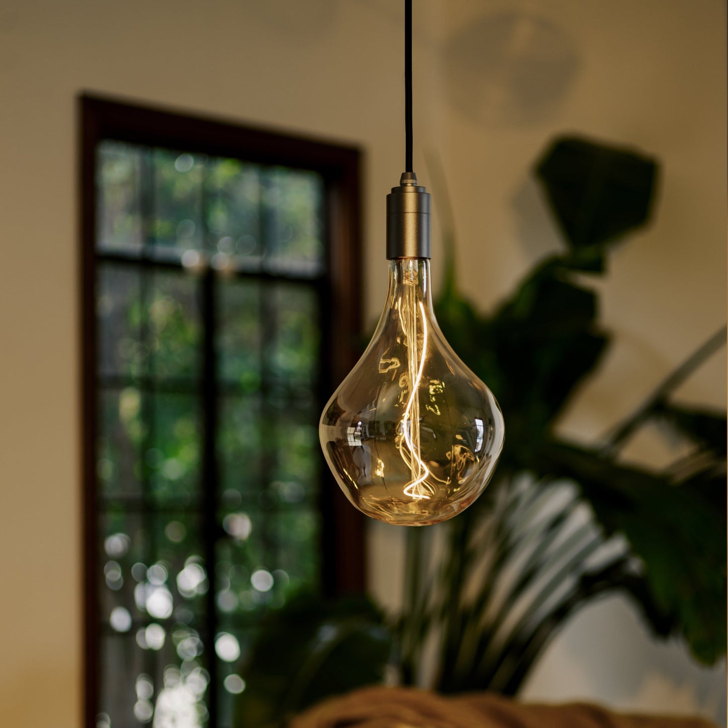 Voronoi II Pendant Light in Graphite