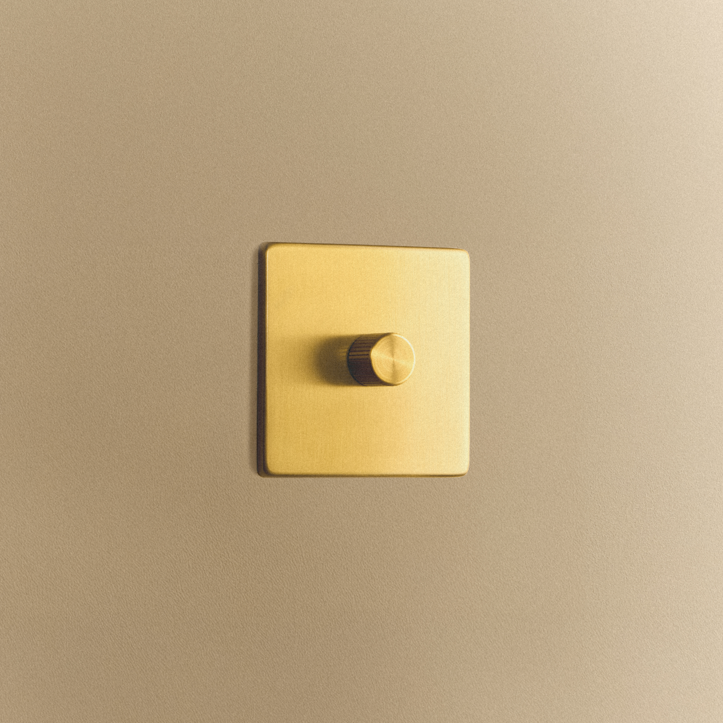 Single Rotary Wall Dimmer in Brass