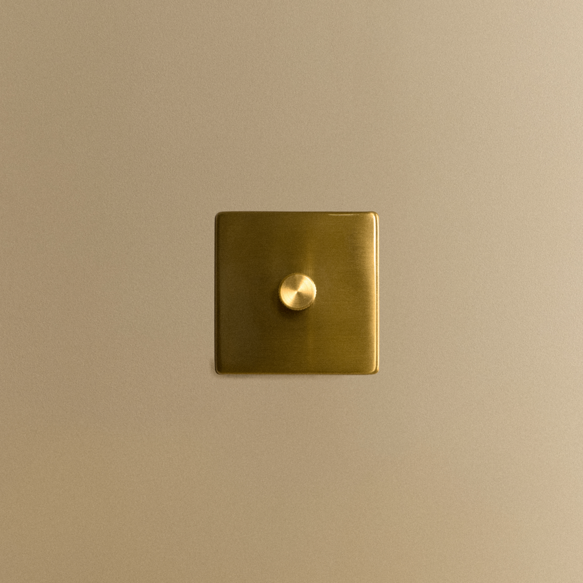 Single Rotary Wall Dimmer in Brass