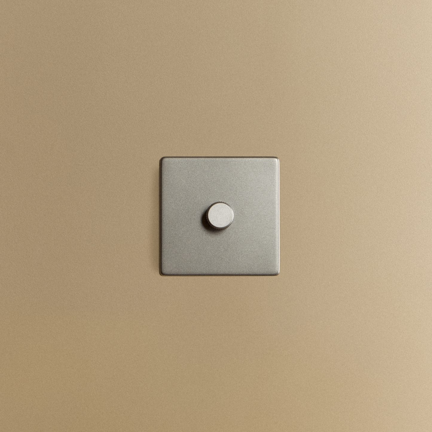 Single Rotary Wall Dimmer in Graphite