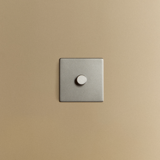 Single Rotary Wall Dimmer in Graphite