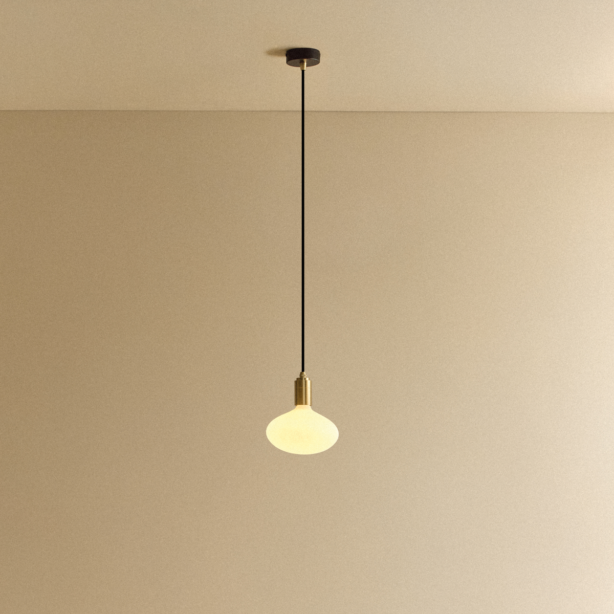 Oval Pendant Light in Brass