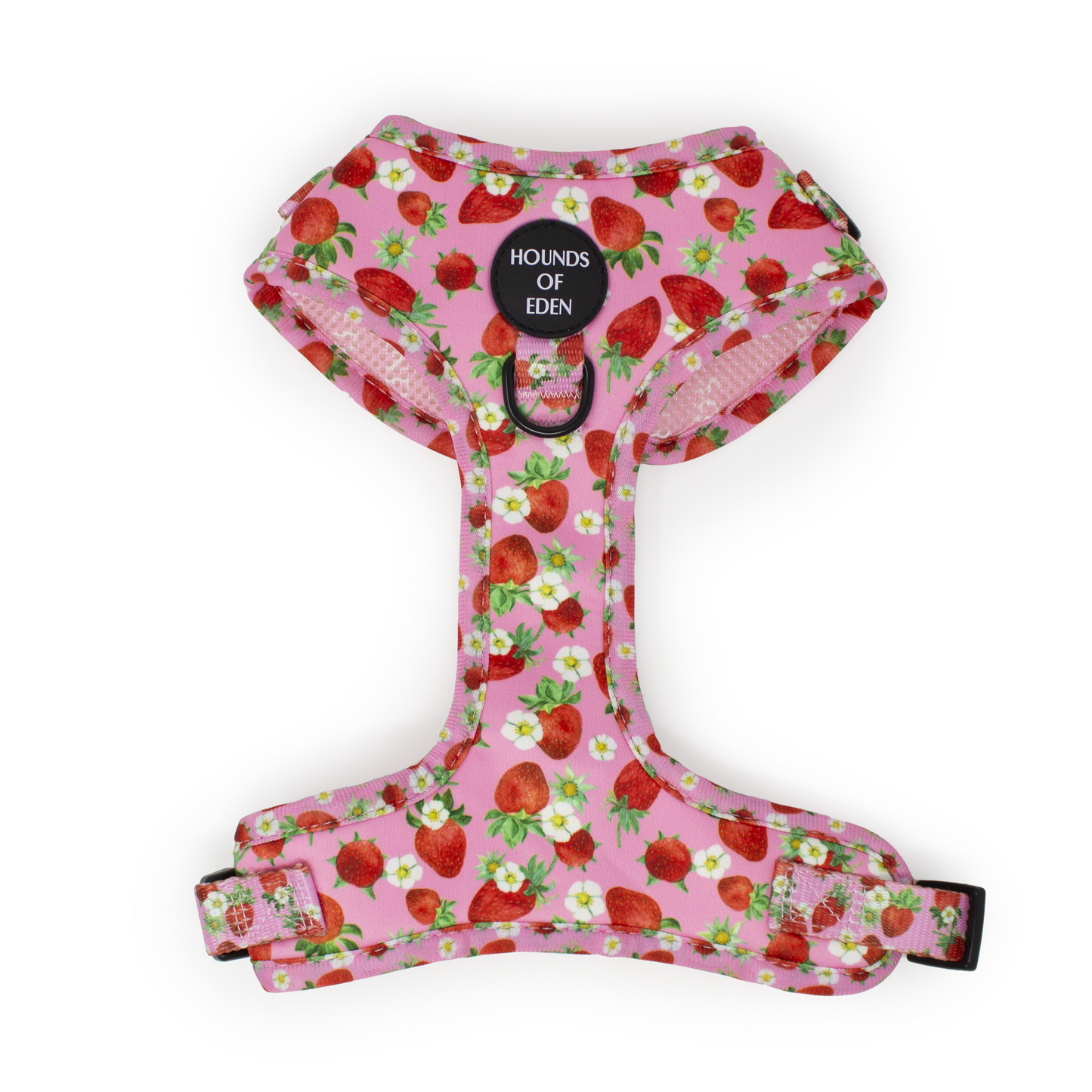 Strawberry Patch Design Dog Collar