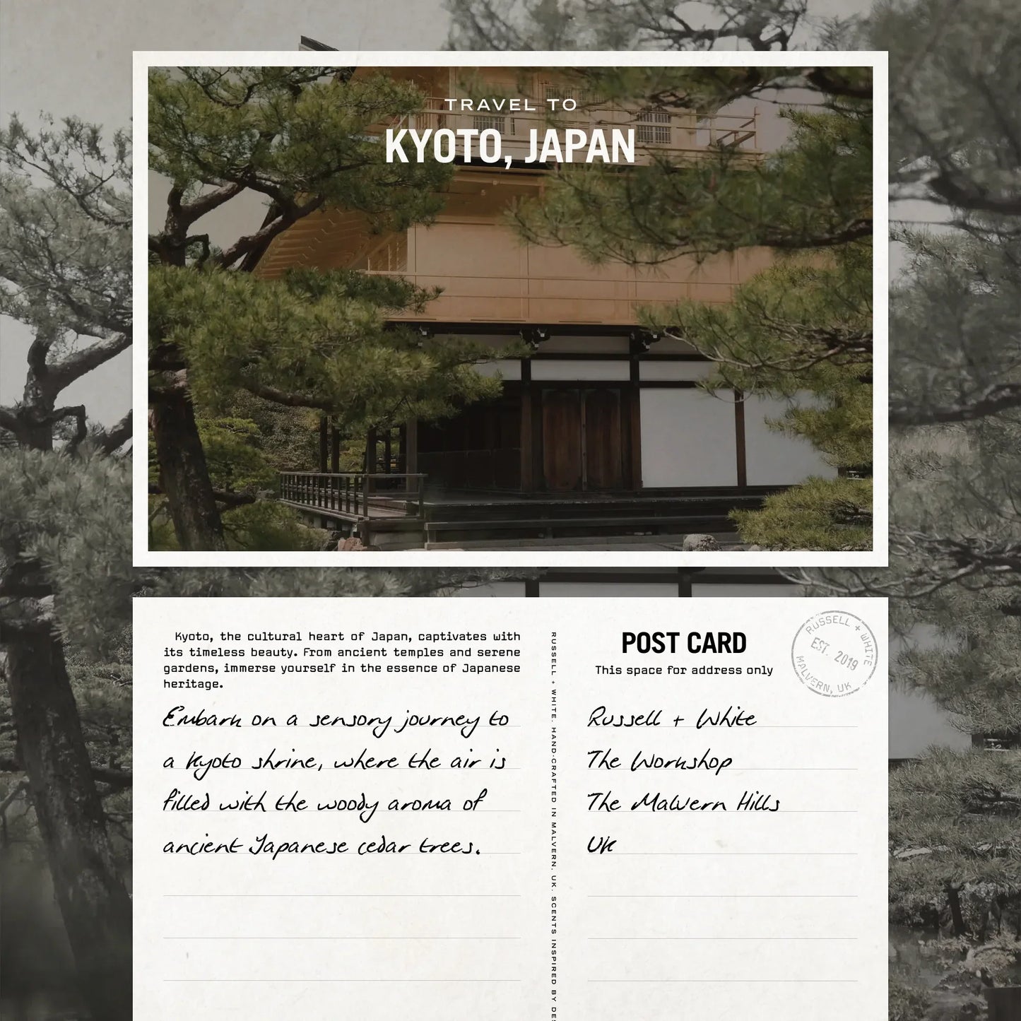 Sugi Scented Candle Refill