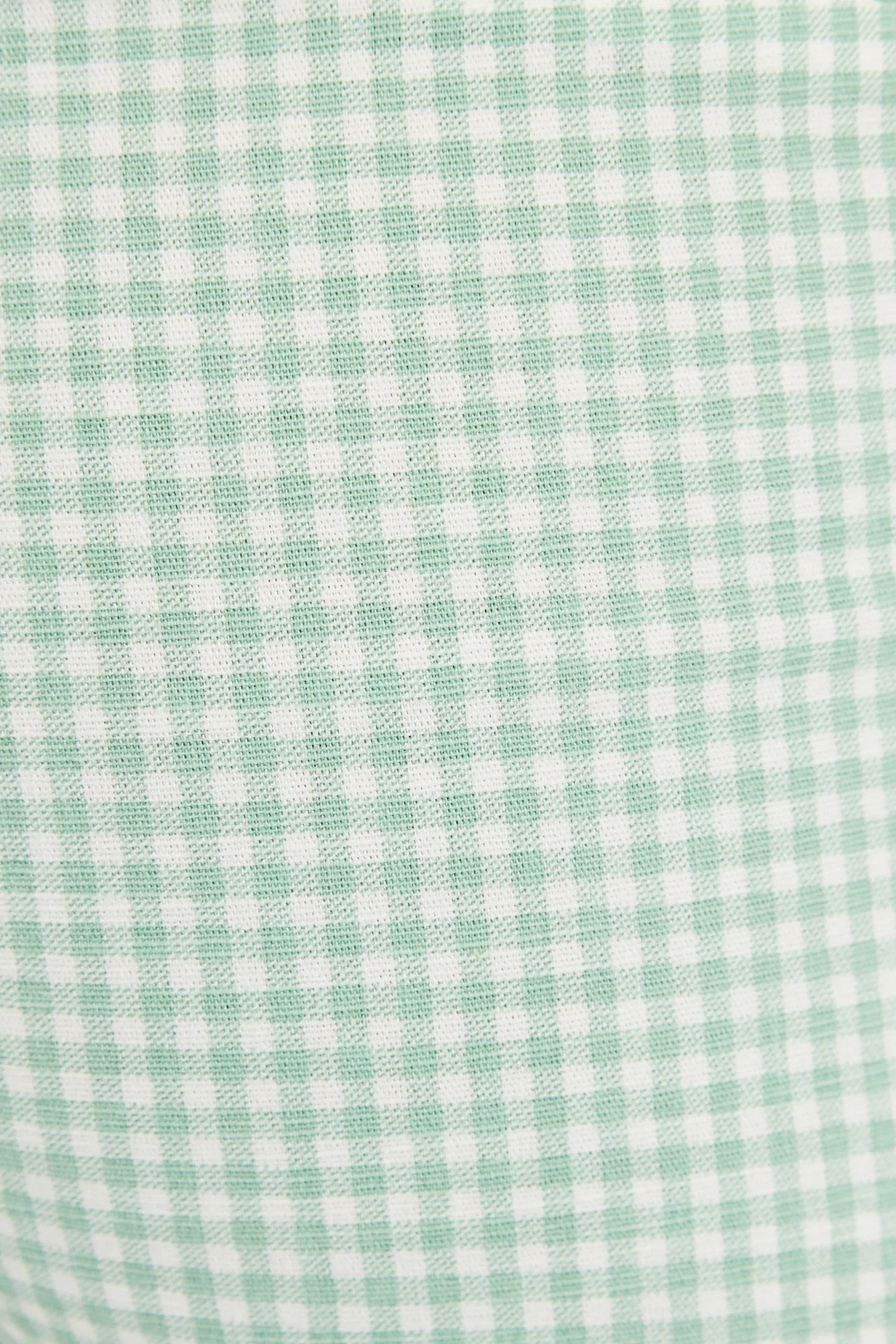 Louche Dora Summer Gingham Shorts In Mint