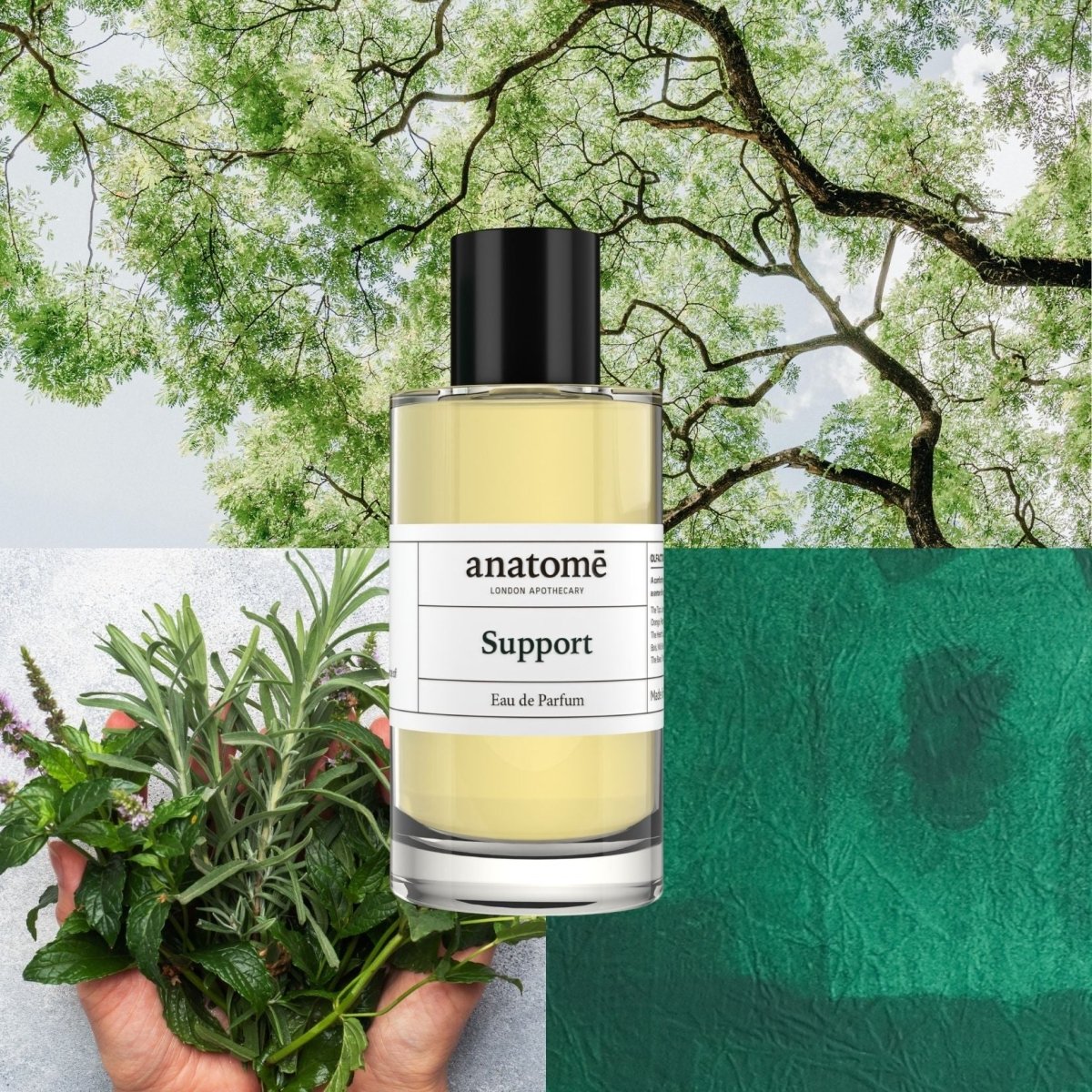 Support Functional Parfum