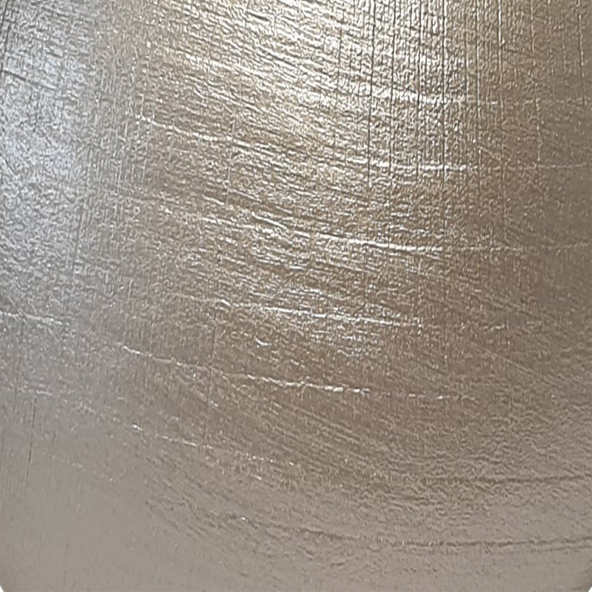 Silver - Royal Metallic Paint