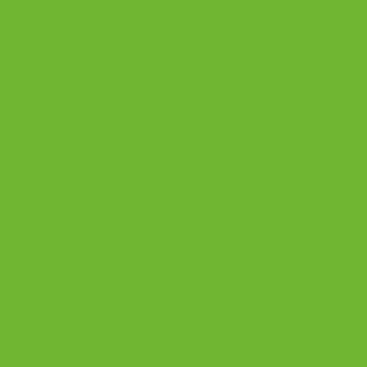 Lime Green - Royal Interior Paint