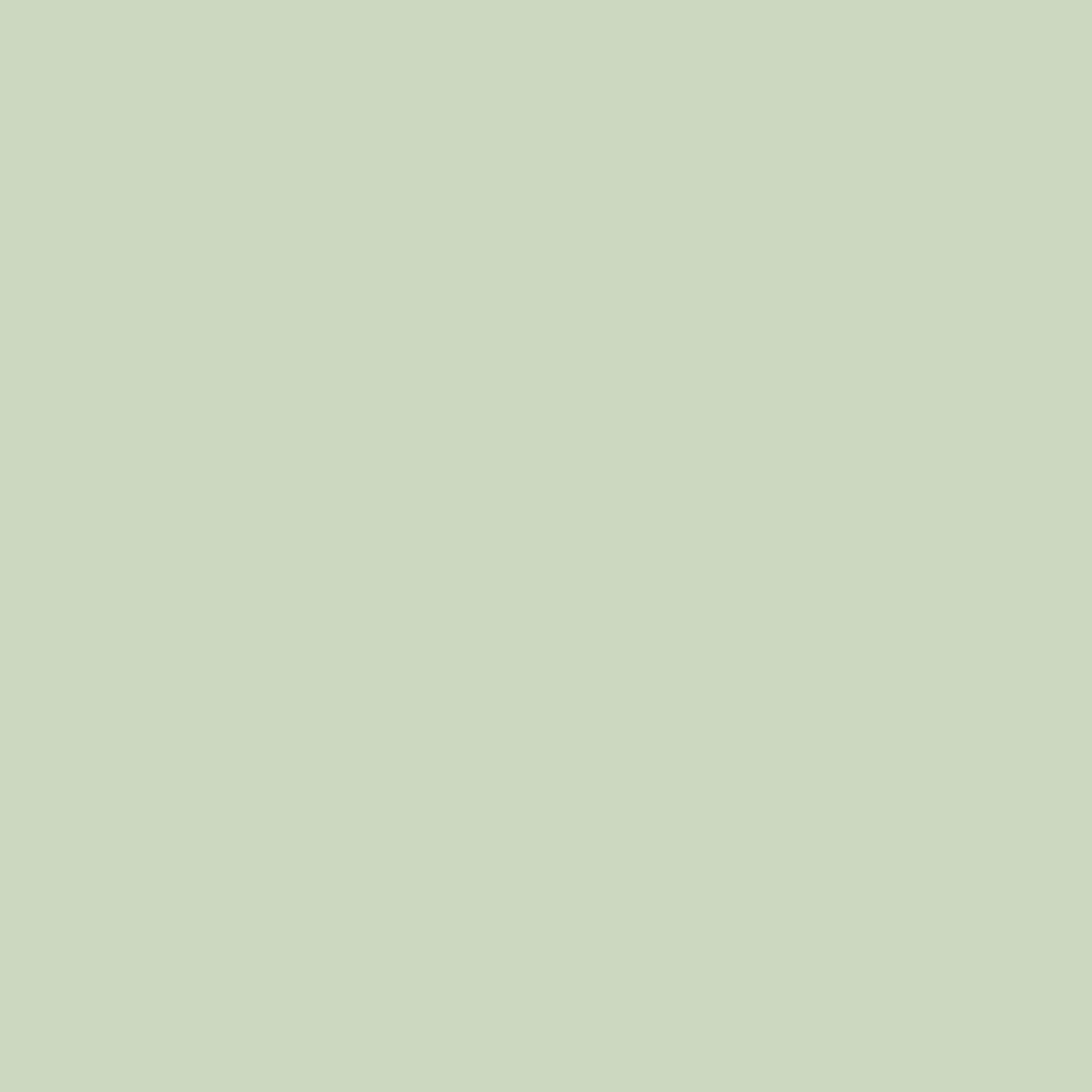 Pale Pistachio - Royal Interior Paint