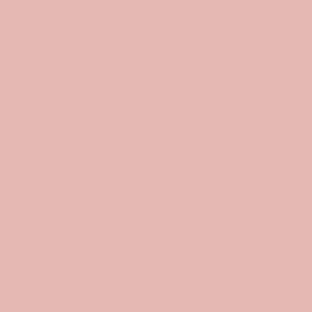Rose Pink - Royal Interior Paint