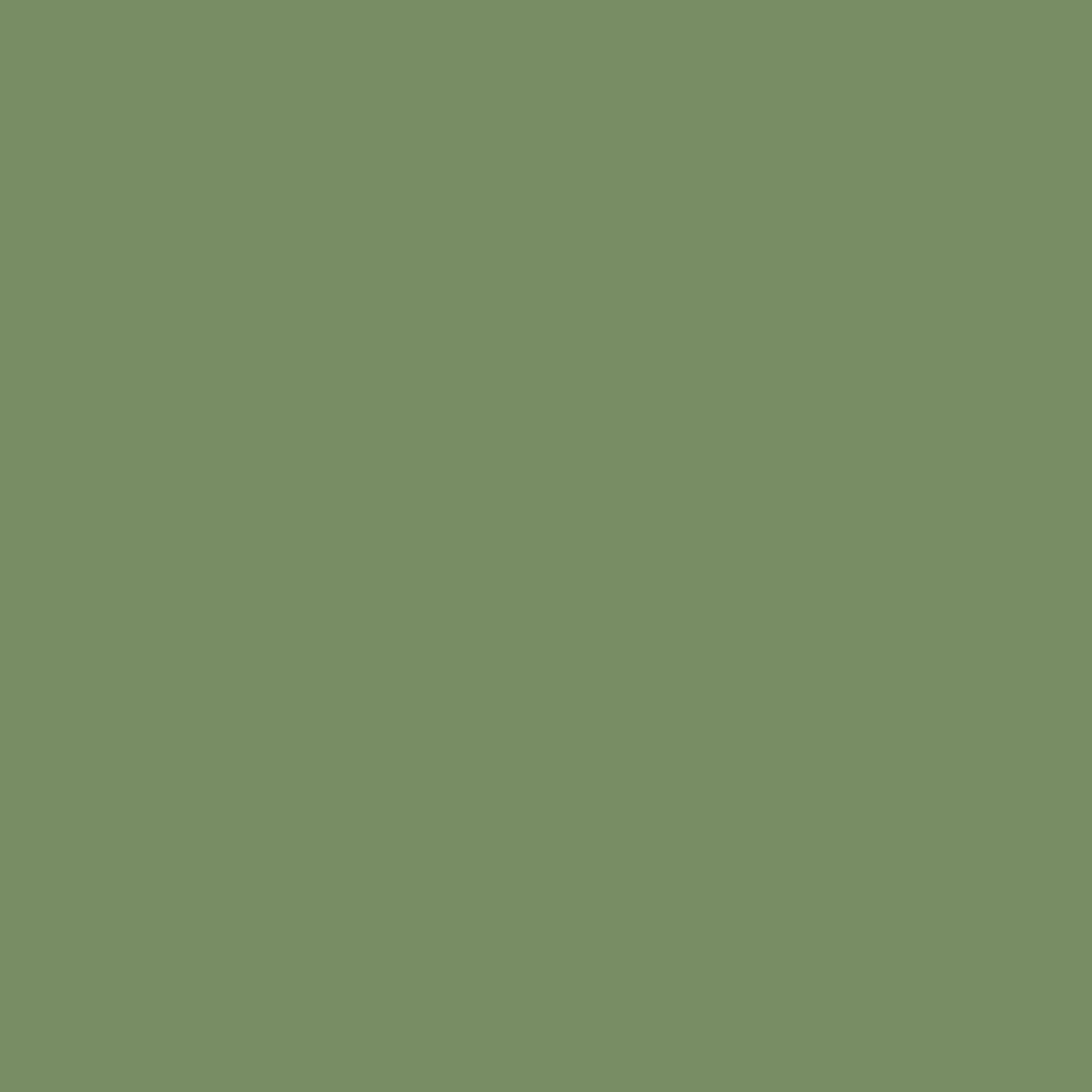 Sage Leaf - Royal Exterior Paint