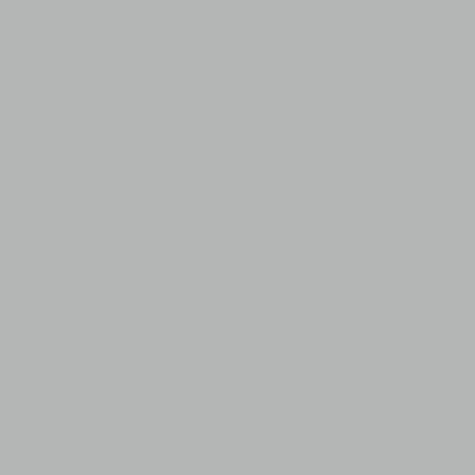 Silver Grey - Royal Exterior Paint