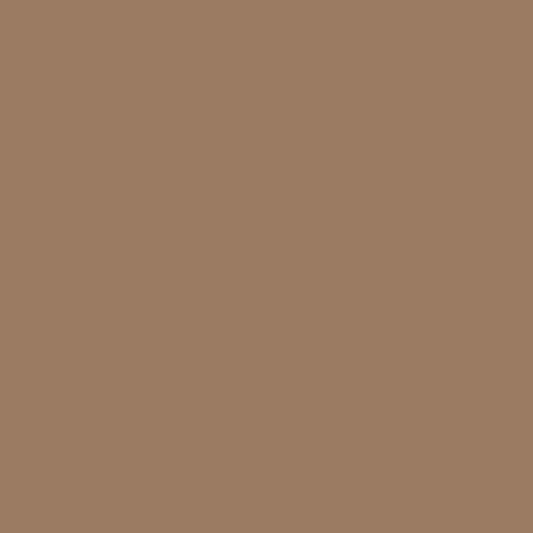 Soft Mocha - Royal Interior Paint